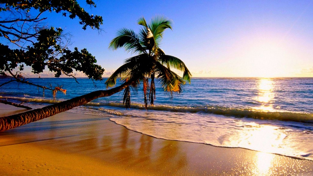 beach-paradise-224959